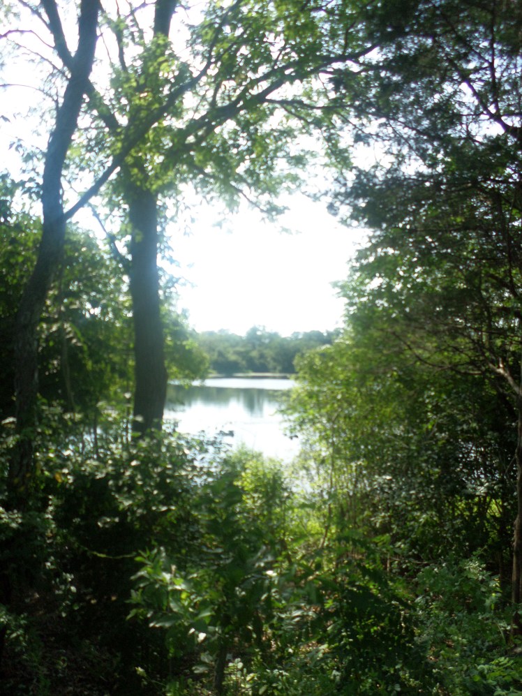 SAMSUNG CAMERA PICTURES