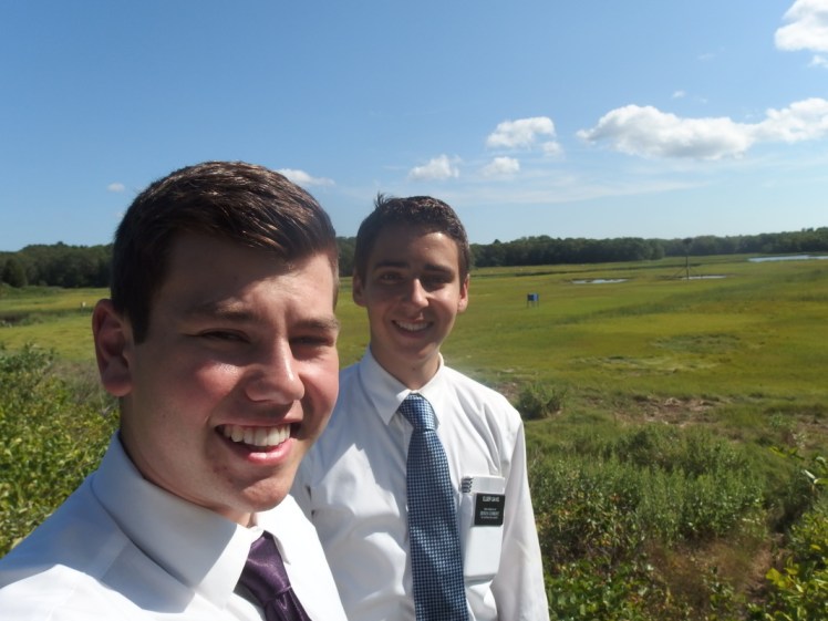 CapeCodElderWoodwardElderDavisatMarshes