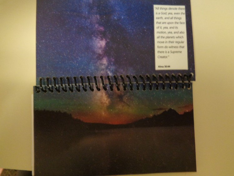 capecodjacobsonplannercover