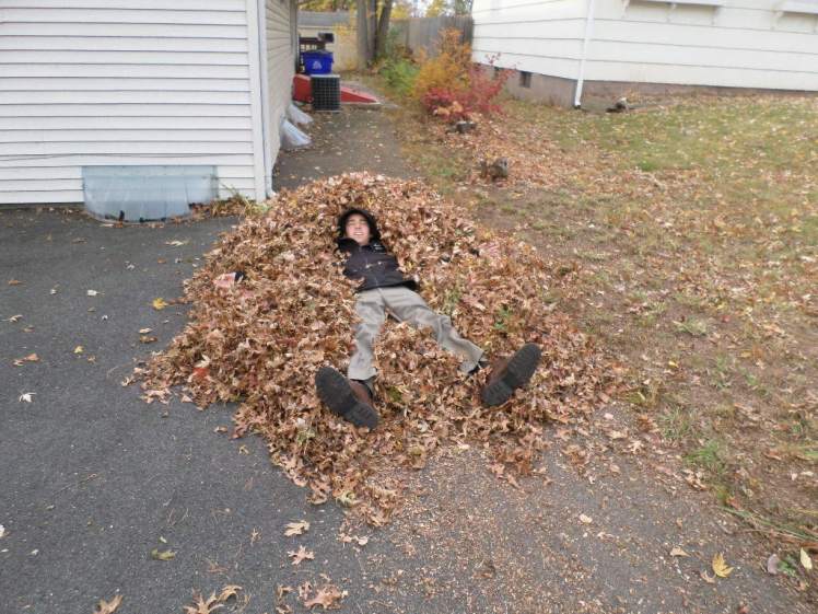 SAMSUNG CAMERA PICTURES