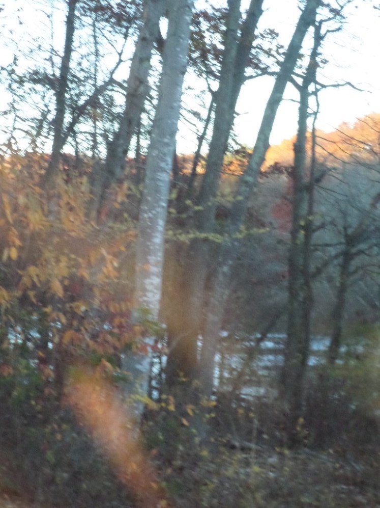 SAMSUNG CAMERA PICTURES