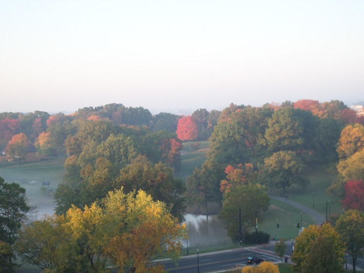 SAMSUNG CAMERA PICTURES